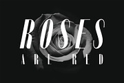 Portia | Film Noir Inspired Font, a Sans Serif Font by ochaya designs (Thumbnail 3 of 8)