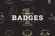 Vintage Badges vol 1, a Branding & Logo Template by blauananas (Thumbnail 1 of 9)