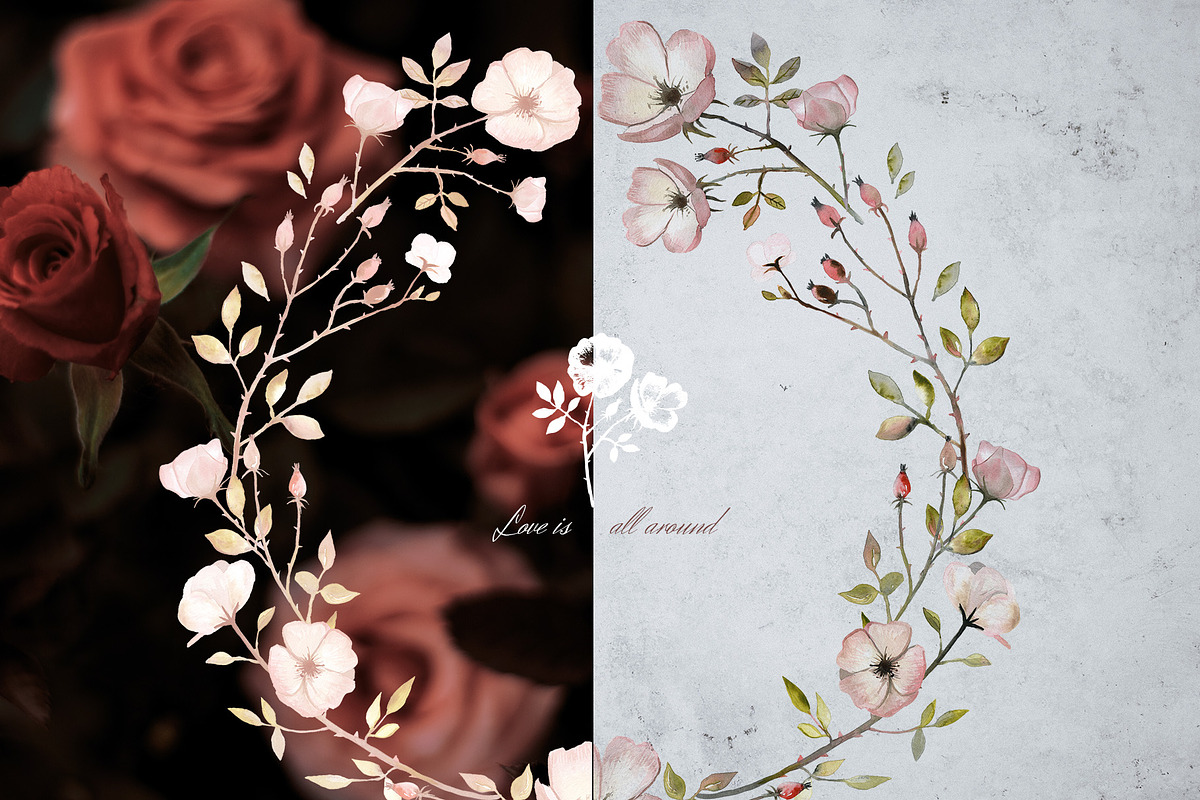 Autumn Rose Watercolor Set, a Decorative Illustration by Bibela (Photo 7 of 11)