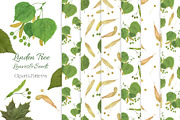 Linden tree leaves and seeds, a Pattern Graphic by Contes_de_fée (Thumbnail 1 of 9)