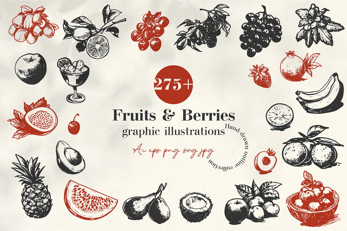 275+ Fruits & Berries Illustrations, a Food Illustration by La Petite Line Art (Photo 1 of 11)