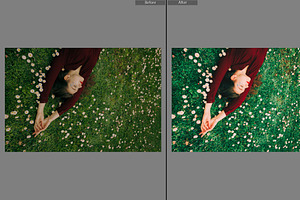 Spring Lightroom & Mobile Preset
