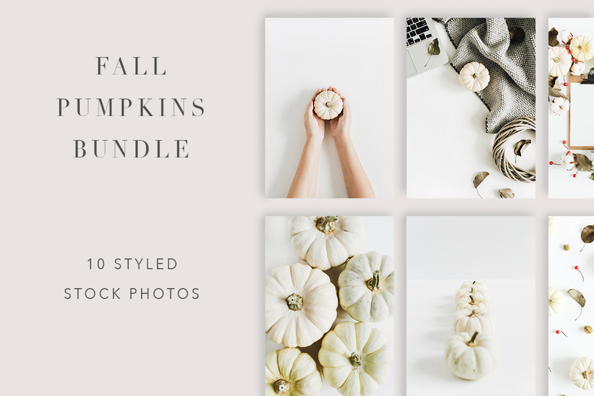 Fall Pumpkins Bundle, a Food & Drink Photo by Floral Deco (Photo 1 of 3)