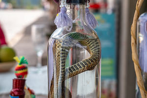 Alcohol bottle with a preserved snake in Peru, a Food & Drink Photo by GoodGoods