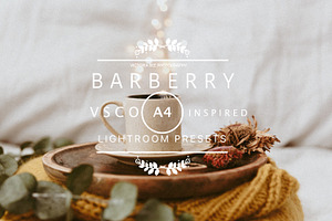 Desktop Lightroom Presets BARBERRY