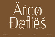 CS Anzelia Mix, a Sans Serif Font by Craft Supply Co. (Thumbnail 7 of 8)