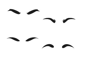 Eyebrows Set 1 Procreate Brush Stamp