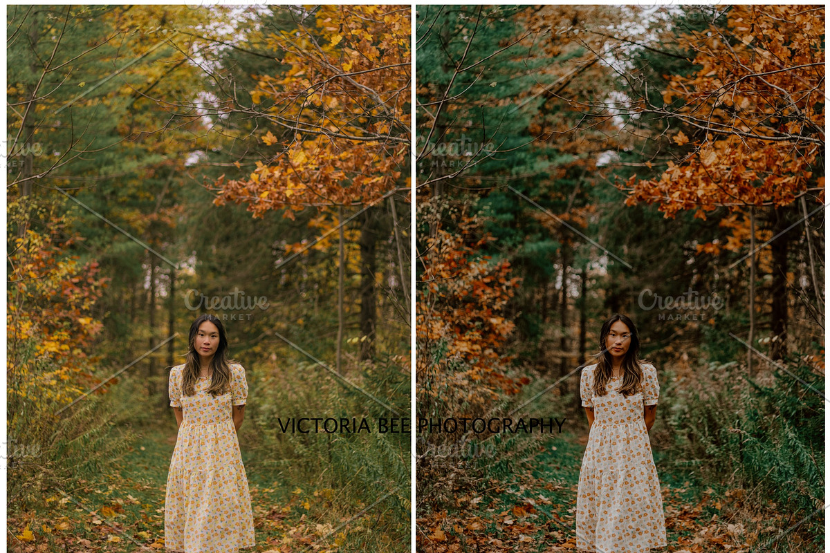 30  MOODY AUTUMN PRESETS, a Preset Add-On by Victoria Bee Presets (Photo 10 of 14)
