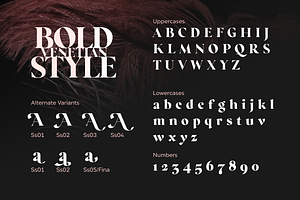 Regatto Venetian Style Typeface