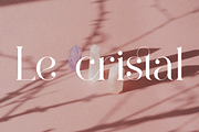 Pelagic Bird - Unique Ligature Font, a Serif Font by Yahya Type (Thumbnail 16 of 22)