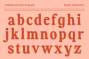Fiyona Retro Variable Font, a Serif Font by That That Creative (Thumbnail 15 of 24)