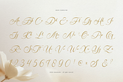 Sammybliss | Modern Calligraphy, a Script Font by Denustudios (Thumbnail 11 of 12)