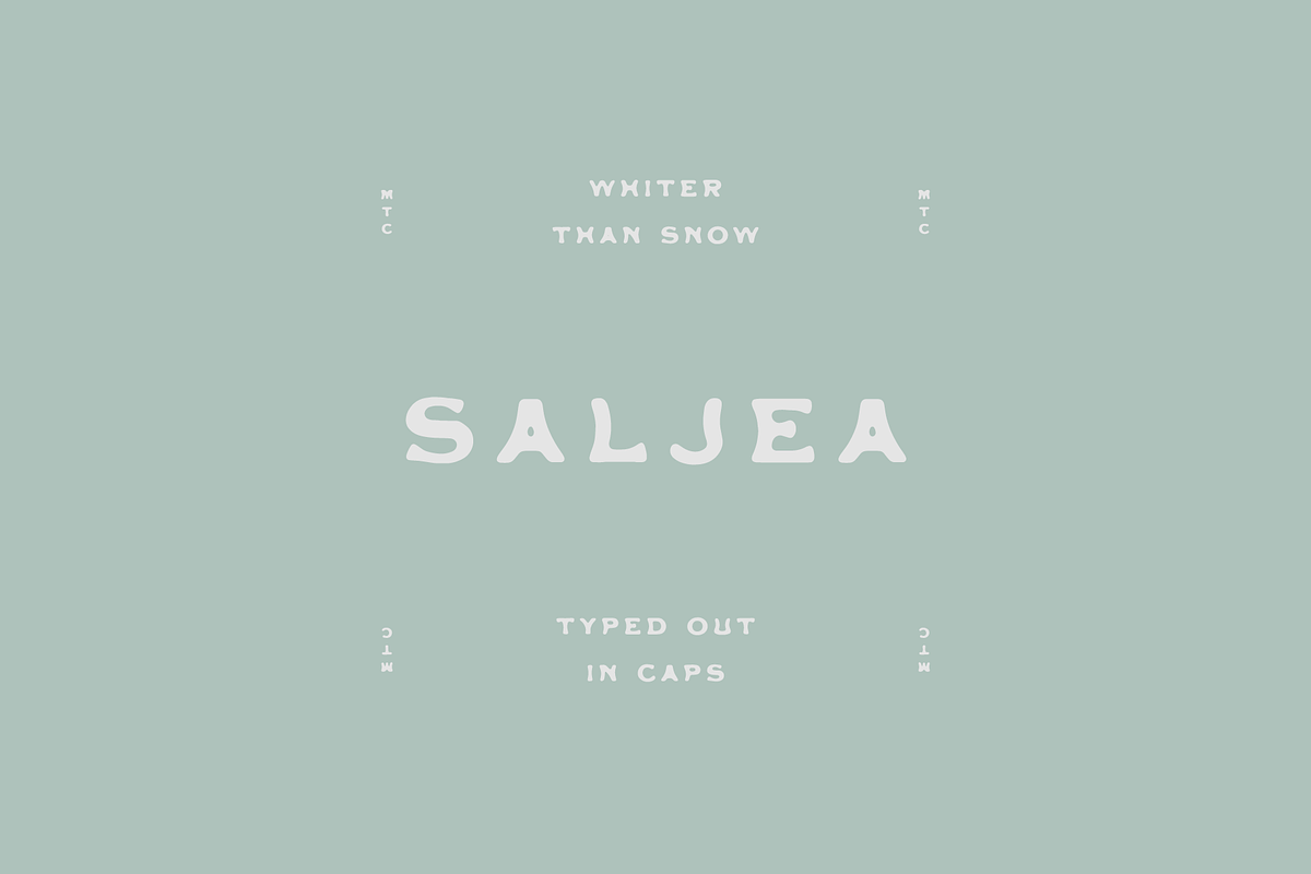 Saljea Typeface, a Font by Maybe This Color (Photo 1 of 3)