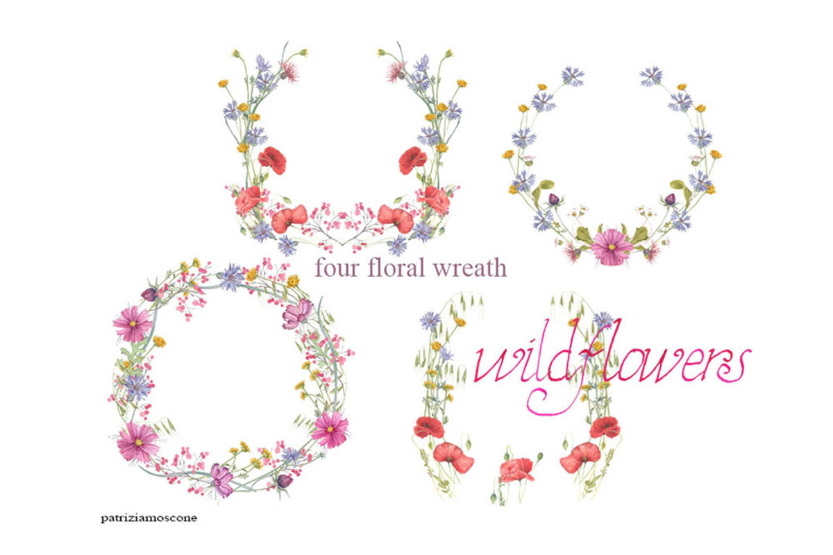 Wildflowers, an Illustration by patriziamoscone (Photo 2 of 10)
