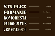 Rigam Complete Family, a Serif Font by Fitrah Type (Thumbnail 4 of 15)