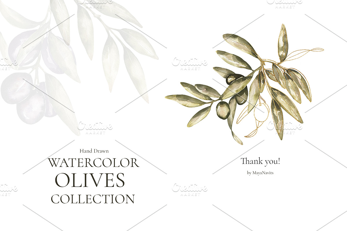 Watercolor Olives collection, a Graphic by MayaNavits (Photo 25 of 25)