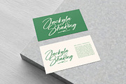 Bombyes Shigter Bold Brush Font, a Script Font by stylishtype.co (Thumbnail 12 of 20)