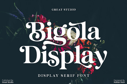 Bigola Display, a Serif Font by Mulkan Nazir