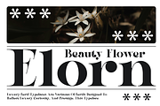 Qeira - Elegant Serif Typeface, a Serif Font by MaikoHatta (Thumbnail 2 of 8)