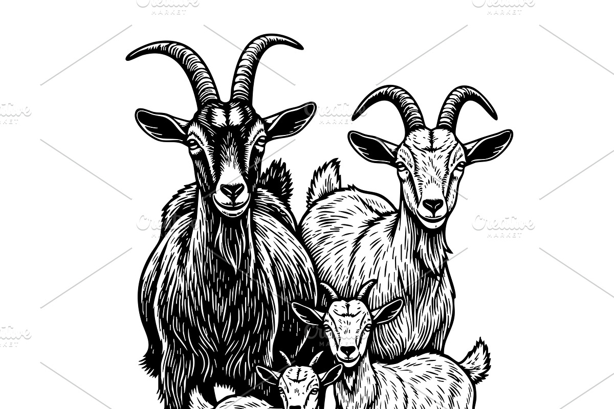 Vector of goat family standing., an Animal Illustration by yod67