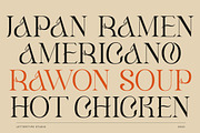 Klandestin Modern & Classical Serif, a Serif Font by Lettertype Studio (Thumbnail 13 of 20)
