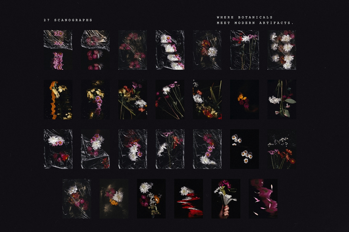 Noir Botanica Scanographs, a Texture Graphic by House of Delfina (Photo 9 of 11)