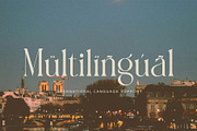 FRISTA || modern ligature, a Serif Font by ToniStudio (Thumbnail 4 of 12)