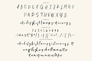 Gelishia - Signature Brush, a Handwritten Font by tebaltipislab (Thumbnail 3 of 9)