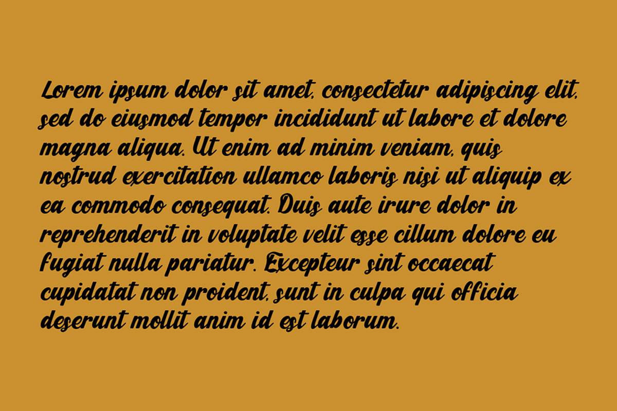 Eclare – Vintage Script Fonts, a Script Font by Konstantine Studio (Photo 4 of 5)