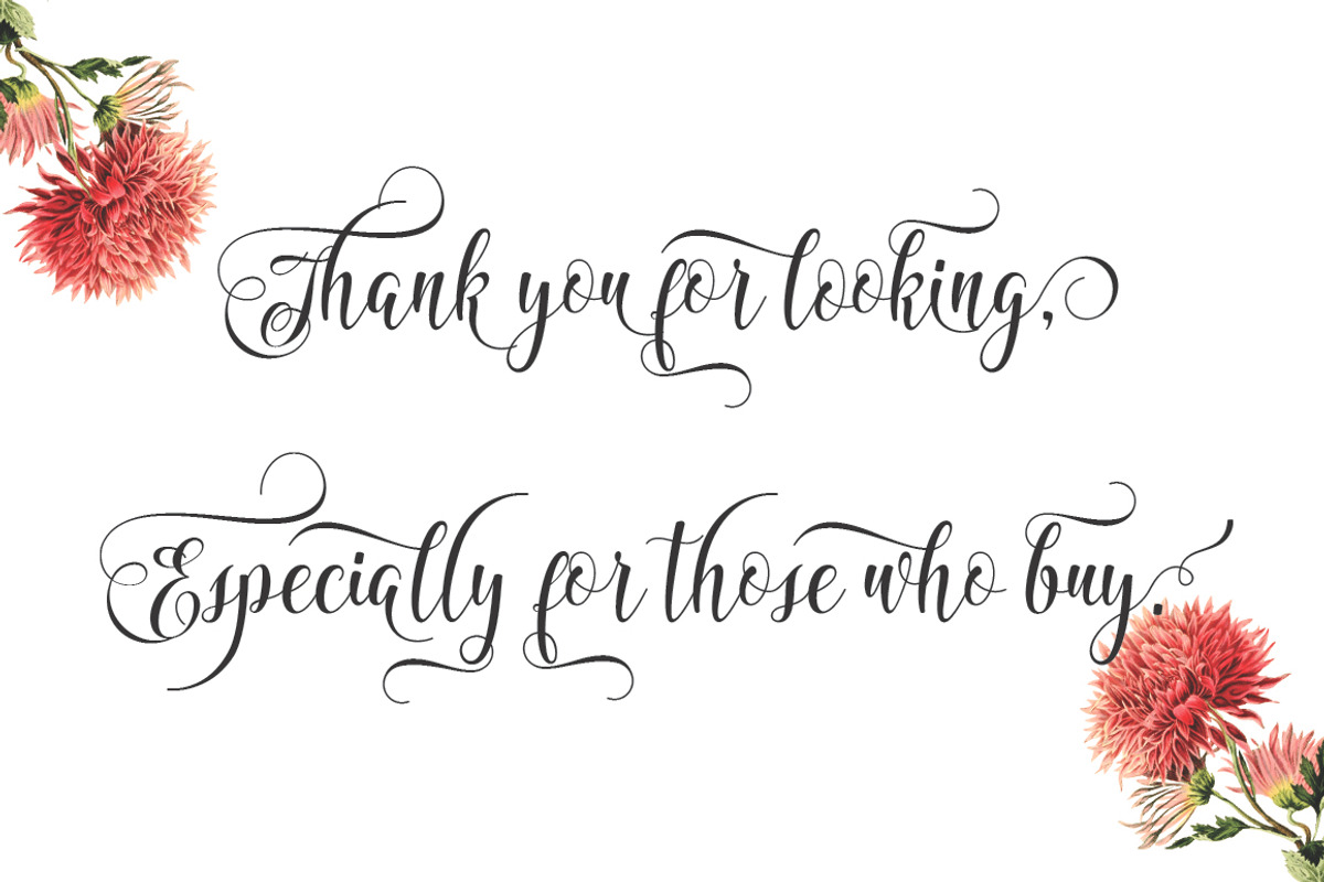 BIG BUNDLE FON SCRIPT, a Font by Jhoen (Photo 19 of 19)