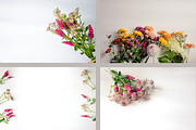 Garden flowers. 22 foto, a Beauty & Fashion Photo by olly87 (Thumbnail 2 of 6)