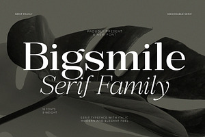 Bigsmile Serif Family, a Serif Font by Violet Natural