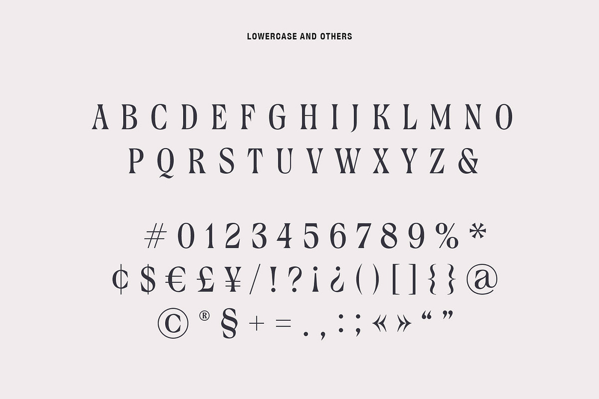 Rocksane Display, a Serif Font by Andrey Sharonov (Photo 14 of 18)