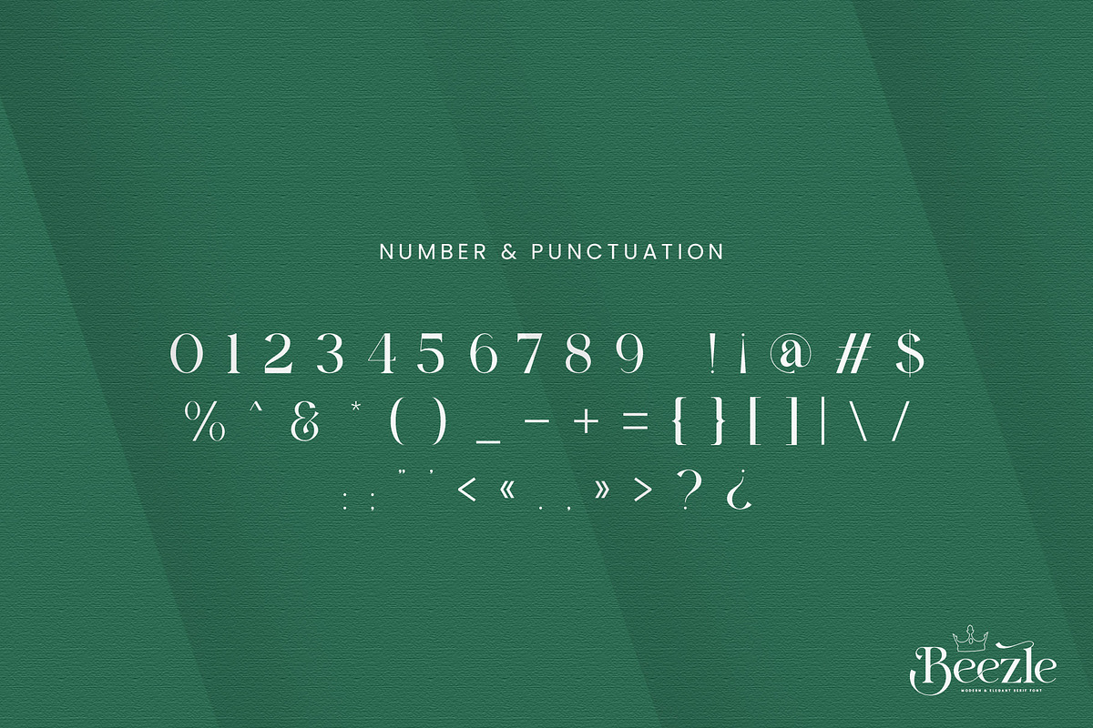 Beezle Modern Serif Font, a Serif Font by Idea Studio (Photo 9 of 10)