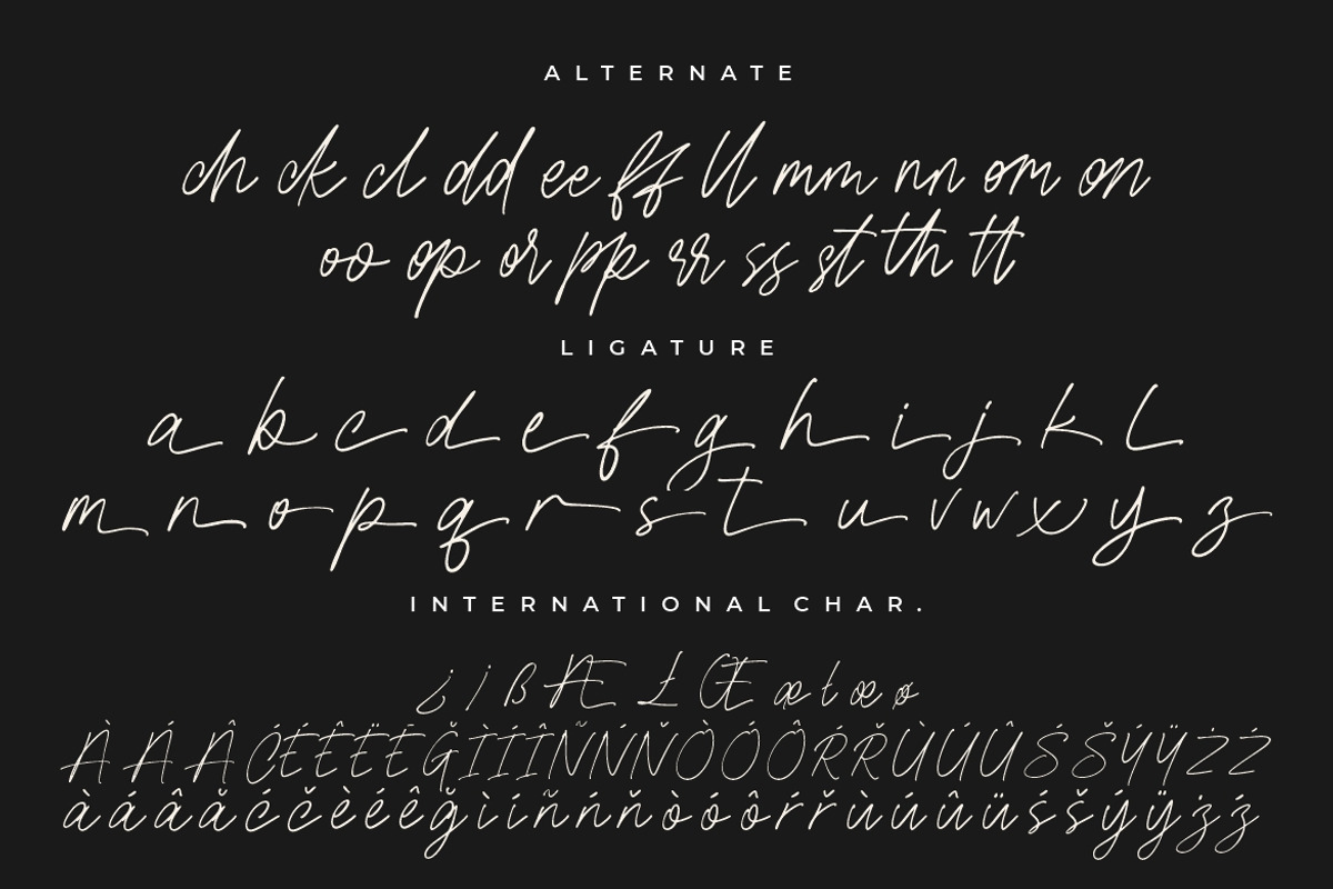 Gaston & Jacklyn Stylish Signature, a Script Font by Creatype Studio (Photo 9 of 9)