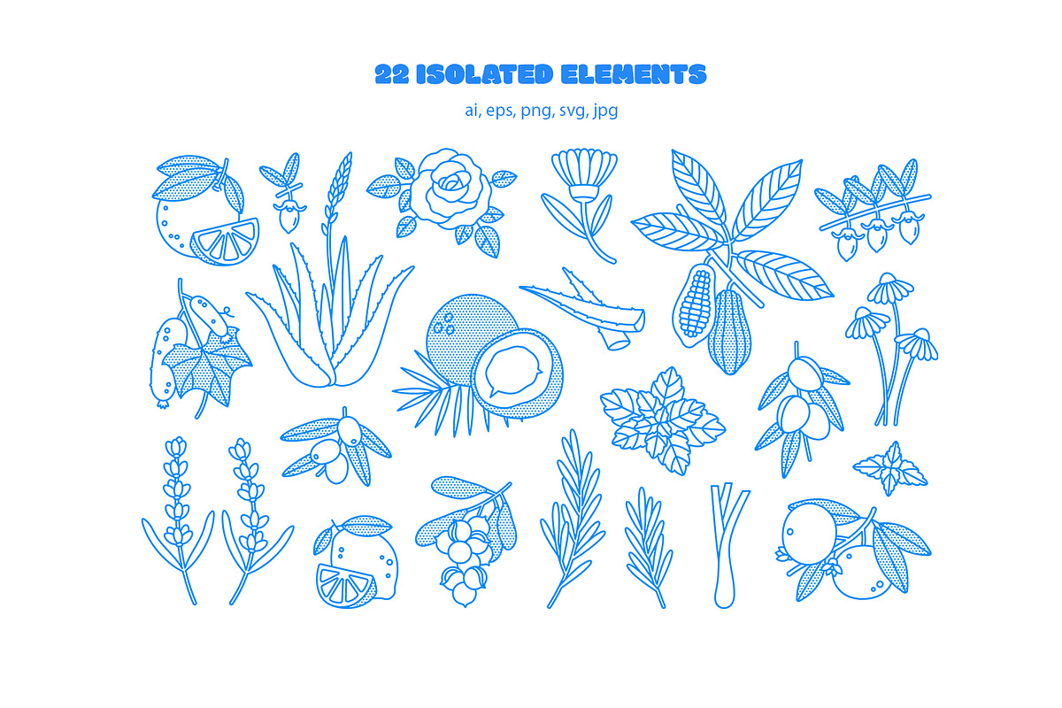 Plants, a Decorative Illustration by Sweet Corner (Photo 2 of 9)