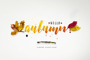 Jumper Script Fonts, a Script Font by kavoon (Thumbnail 8 of 11)