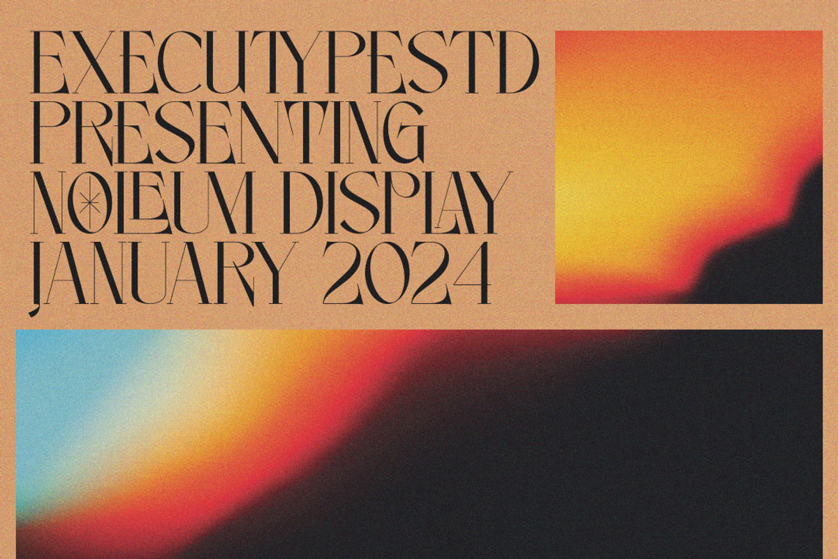 Noleum - Display Serif, a Serif Font by executypeStudio (Photo 4 of 12)