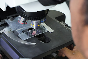 Microscopic Examination of Fish Gill, a Health & Medical Photo by bastera