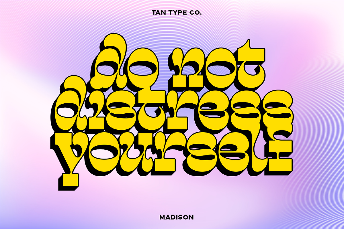 TAN - MADISON, a Font by TanType (Photo 2 of 10)