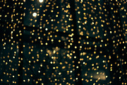 Christmas lights containing christmas, christmas lights, and new year, a Holiday Photo by Beshr Abdulhadi (Thumbnail 5 of 5)