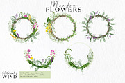 Wild floral clipart meadow flowers, an Illustration by Ksenia Shmakova (Thumbnail 4 of 11)