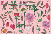 Botanical Modern Floral Illustration, a Decorative Illustration by likorbut (Thumbnail 3 of 6)