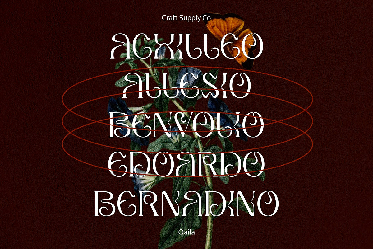 Qaila – Serif Typeface, a Serif Font by Craft Supply Co. (Photo 5 of 8)
