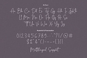 Master Photograph - Signature font, a Script Font by Subectype Studio (Thumbnail 9 of 9)