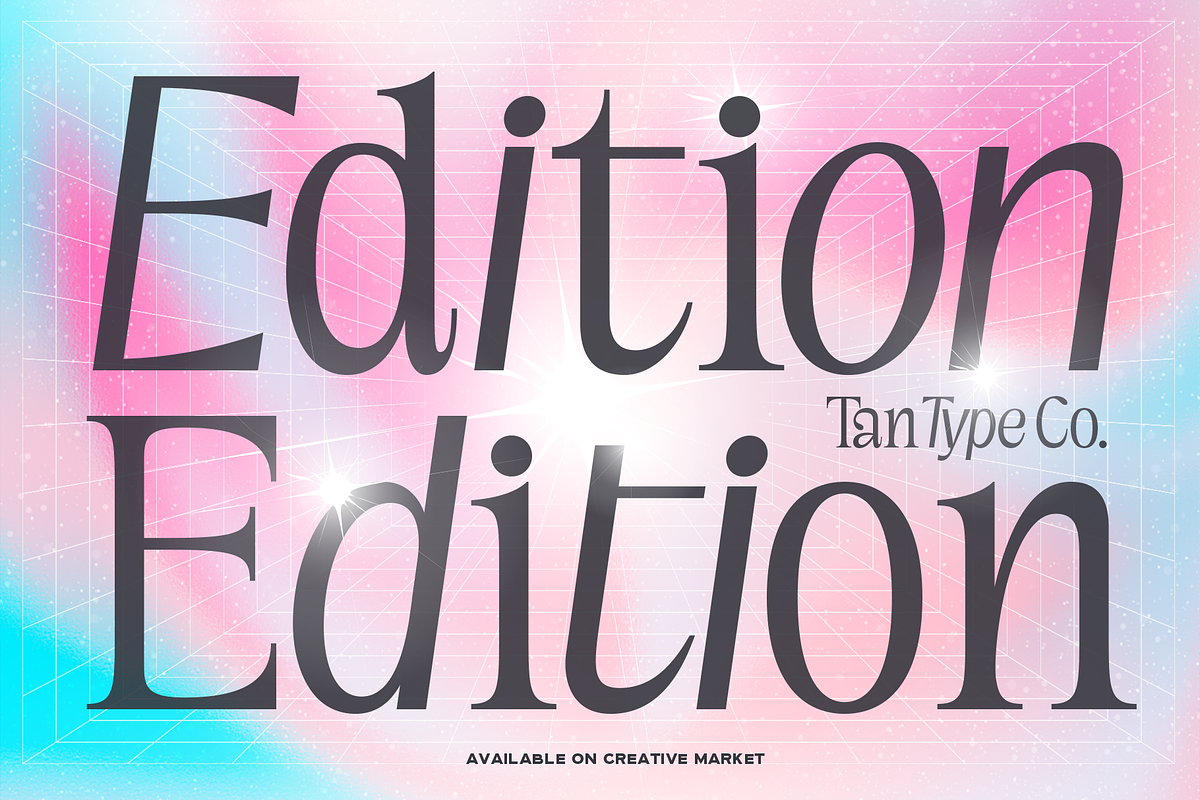 TAN-EDITION, a Sans Serif Font by TanType (Photo 1 of 10)