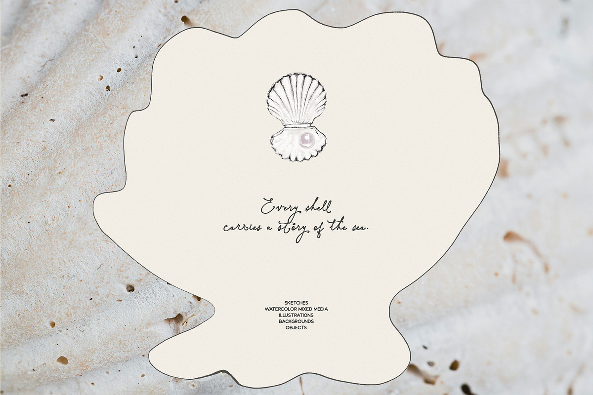 Seashell Season – Coastal Pack, an Object Graphic by Purple (Photo 2 of 12)