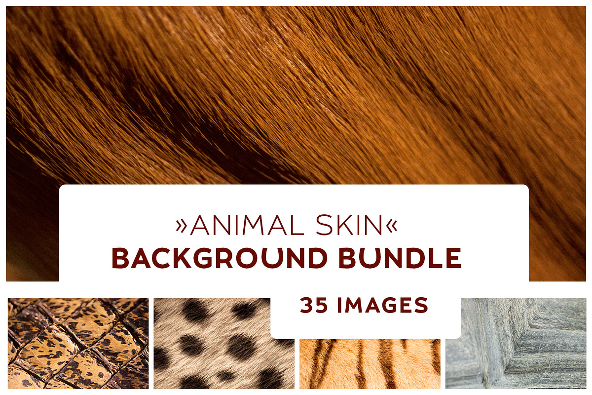 35 Animal Skin Background Texture, a Texture Graphic by Pixeria (Photo 1 of 3)