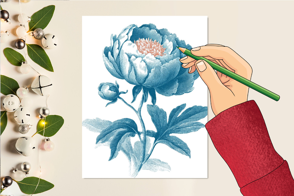 Vintage Botanica Clipart Set, an Illustration by DreamCafeArt (Photo 5 of 6)