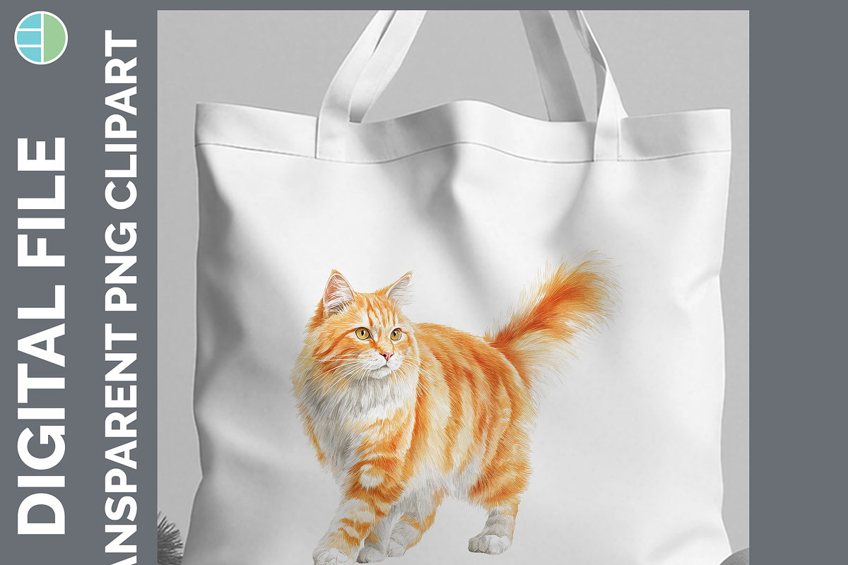 Cat Breed Clipart Bundle, 24 PNGs, an Animal Illustration by Enliven Designs (Photo 3 of 8)